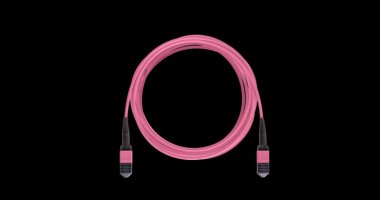 Фотография товара 'Nikomax Кабельная сборка волоконно-оптическая NMF-PC12M4PAC-1MTPF-1MTPF-030'