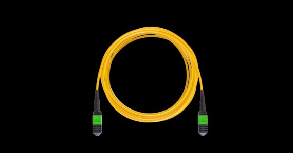 Фотография товара 'Nikomax Кабельная сборка волоконно-оптическая NMF-PC12S2PAC-1MTPF-1MTPF-030'